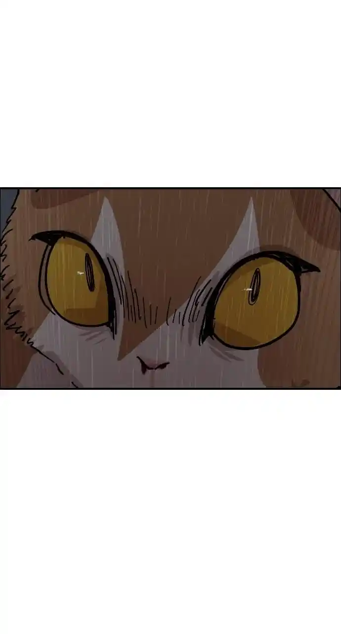 Zipsa Rangers Ch.049