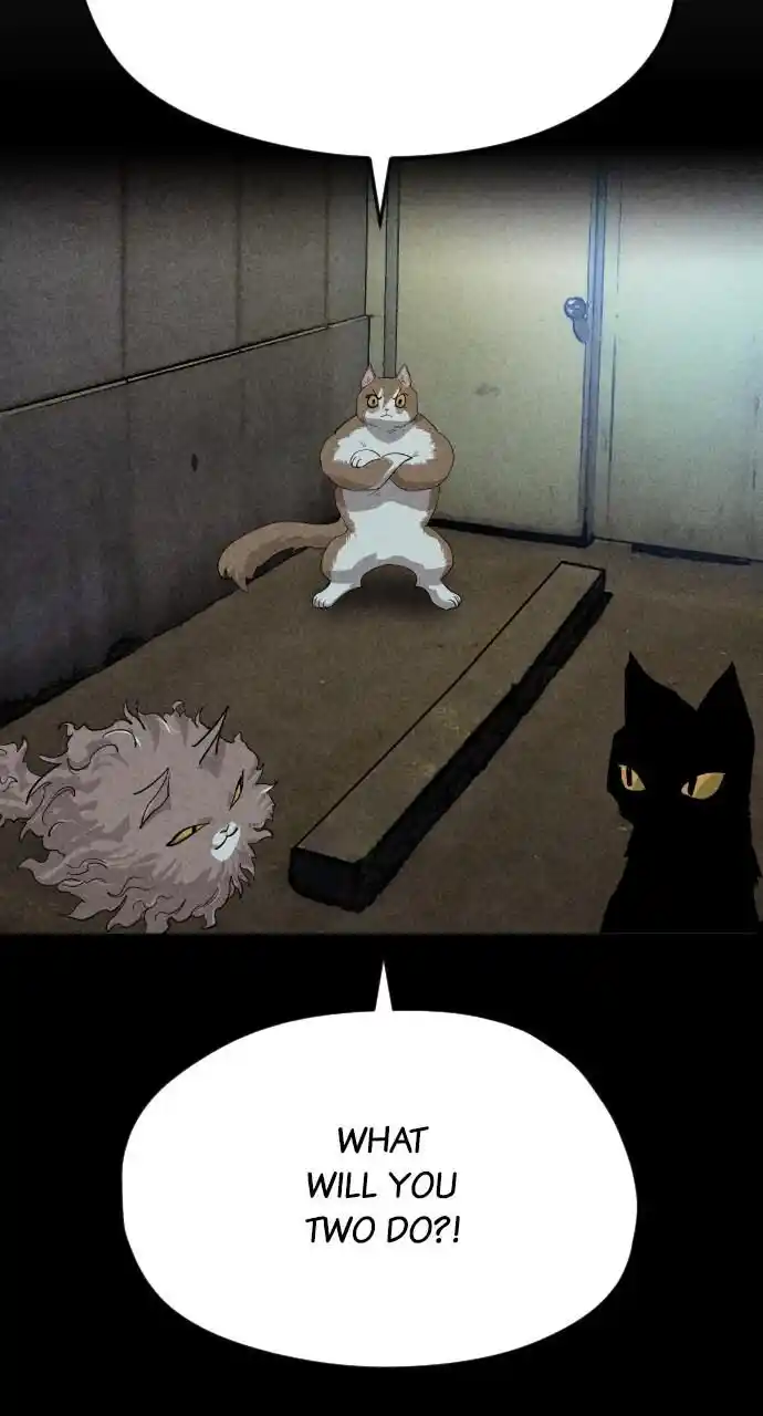 Zipsa Rangers Ch.049