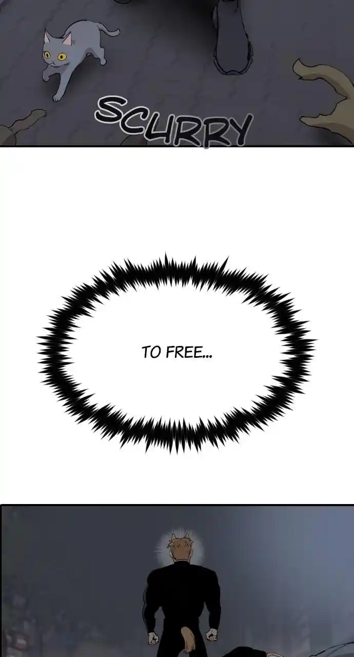 Zipsa Rangers Ch.049