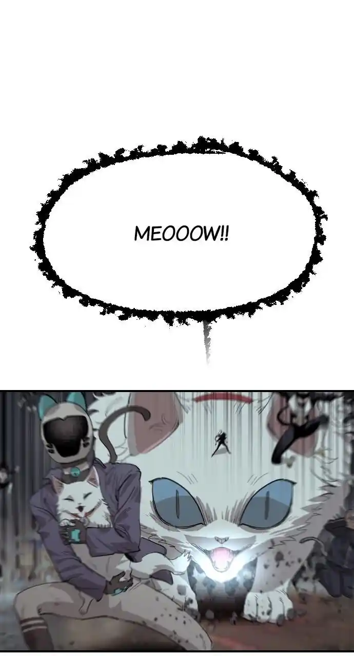 Zipsa Rangers Ch.050