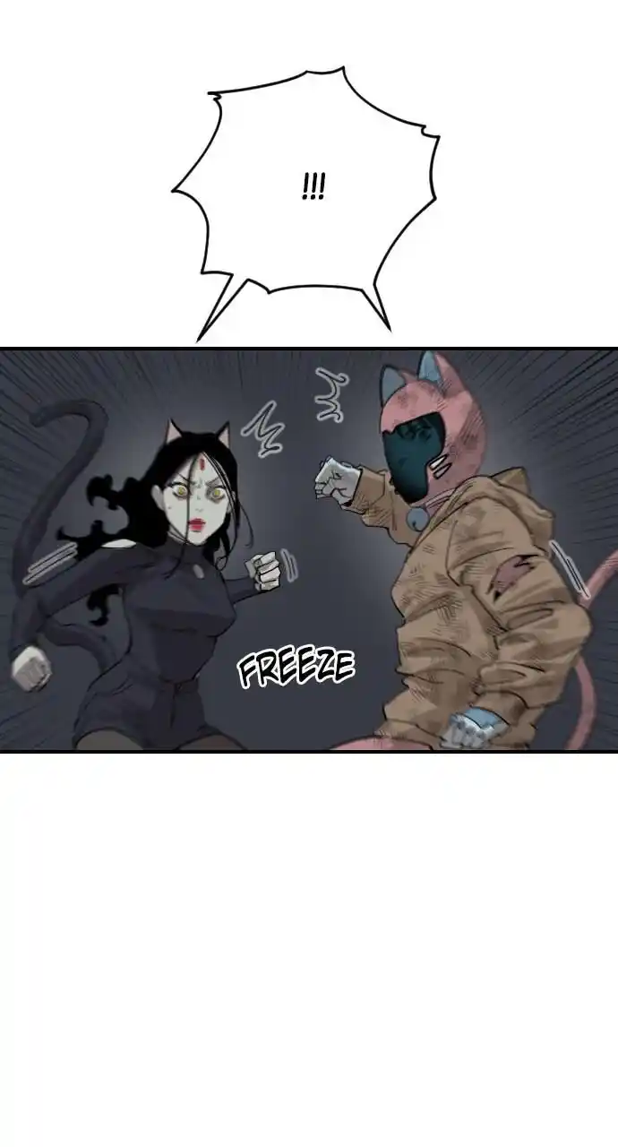 Zipsa Rangers Ch.050