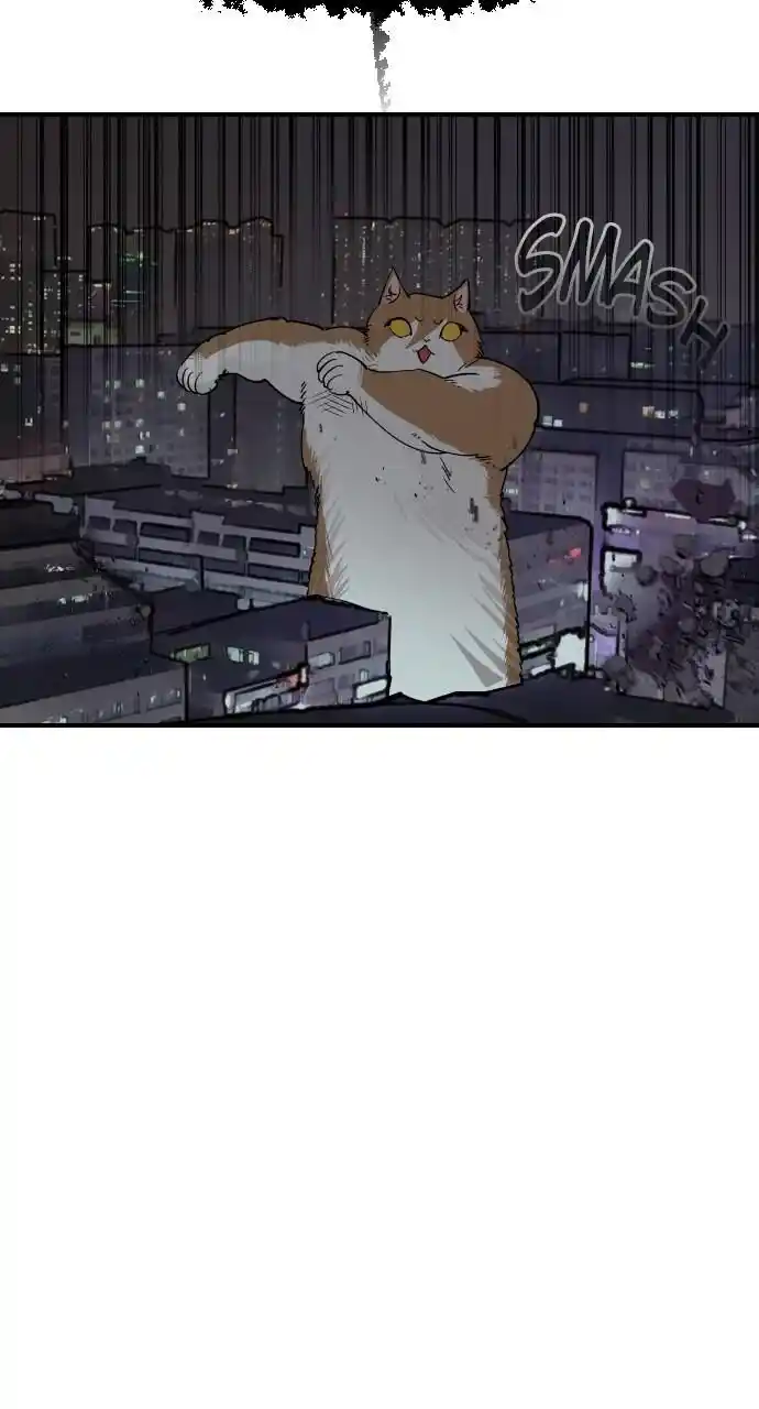 Zipsa Rangers Ch.051