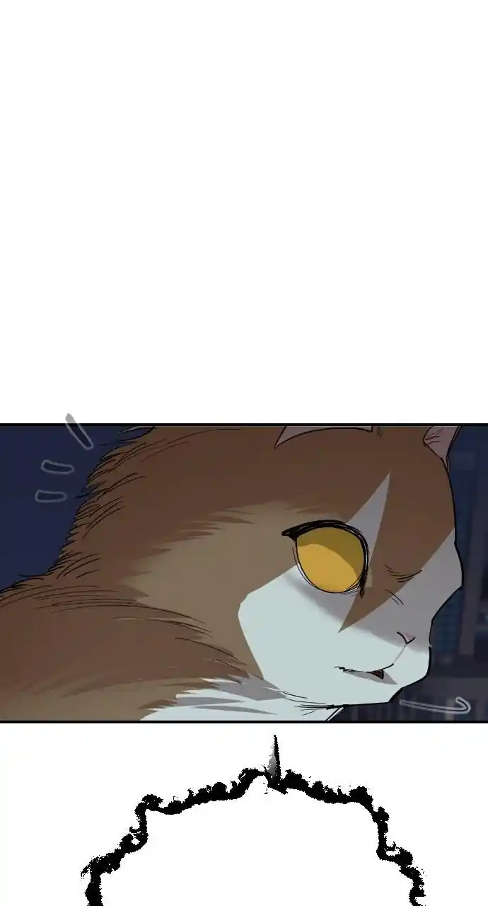 Zipsa Rangers Ch.051