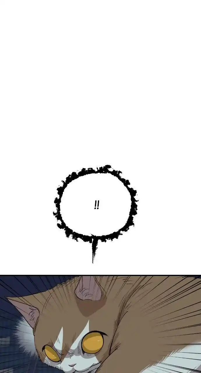 Zipsa Rangers Ch.052