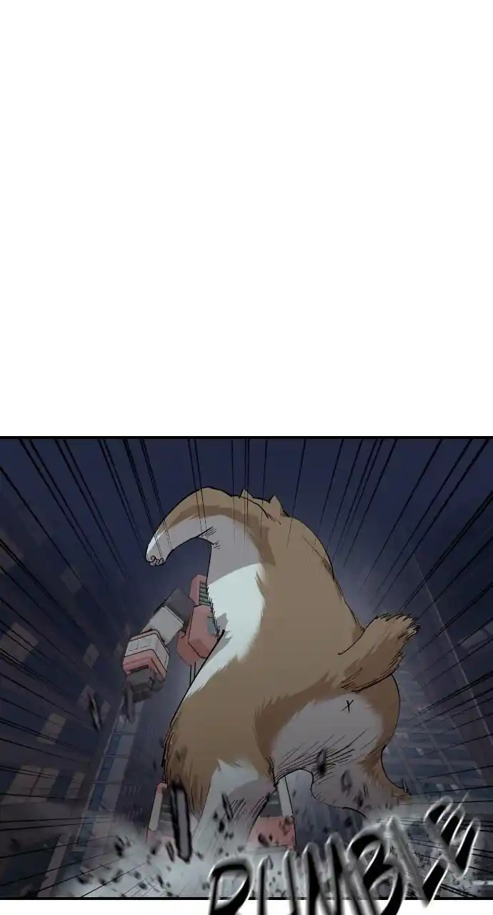 Zipsa Rangers Ch.052