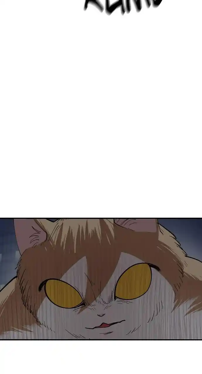 Zipsa Rangers Ch.052