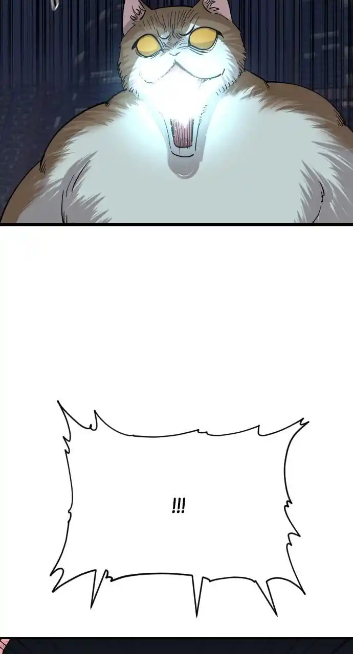 Zipsa Rangers Ch.052