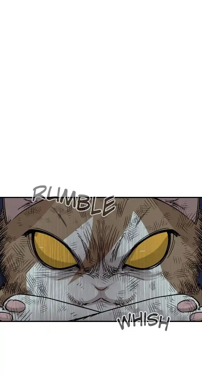 Zipsa Rangers Ch.052