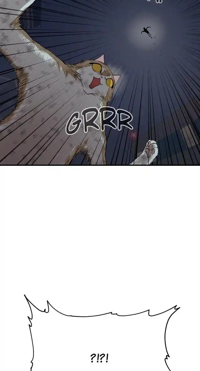 Zipsa Rangers Ch.052