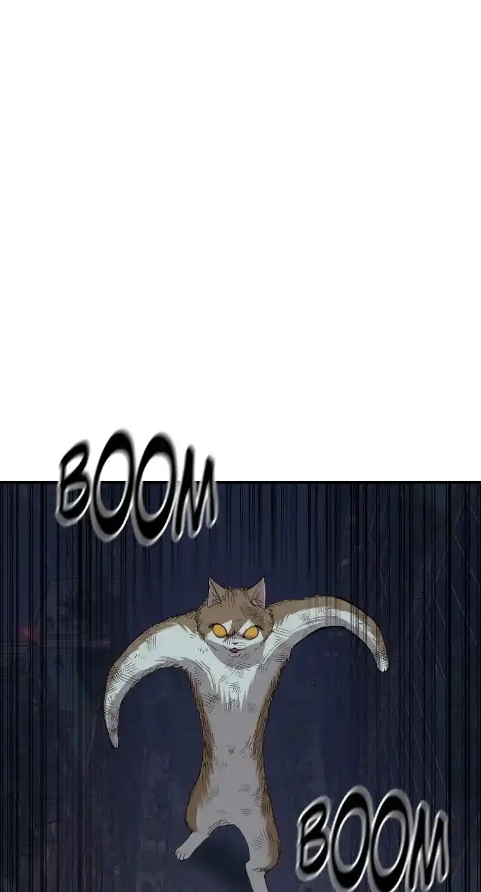 Zipsa Rangers Ch.053