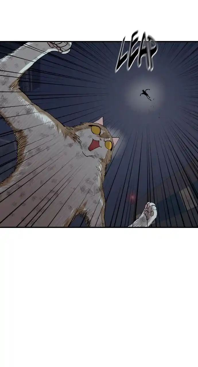 Zipsa Rangers Ch.053