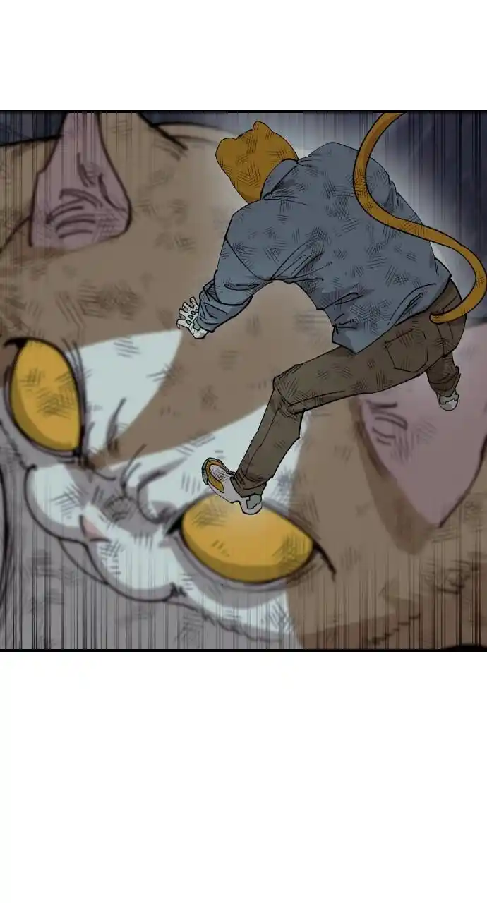 Zipsa Rangers Ch.053