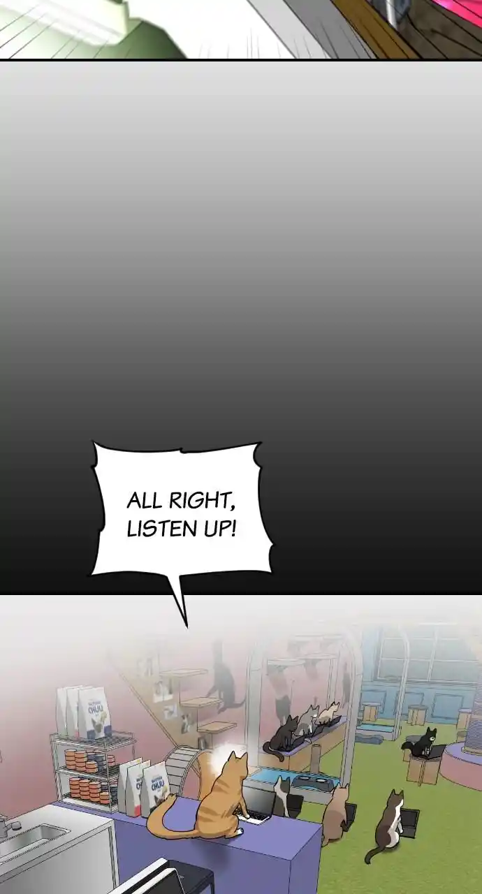 Zipsa Rangers Ch.053