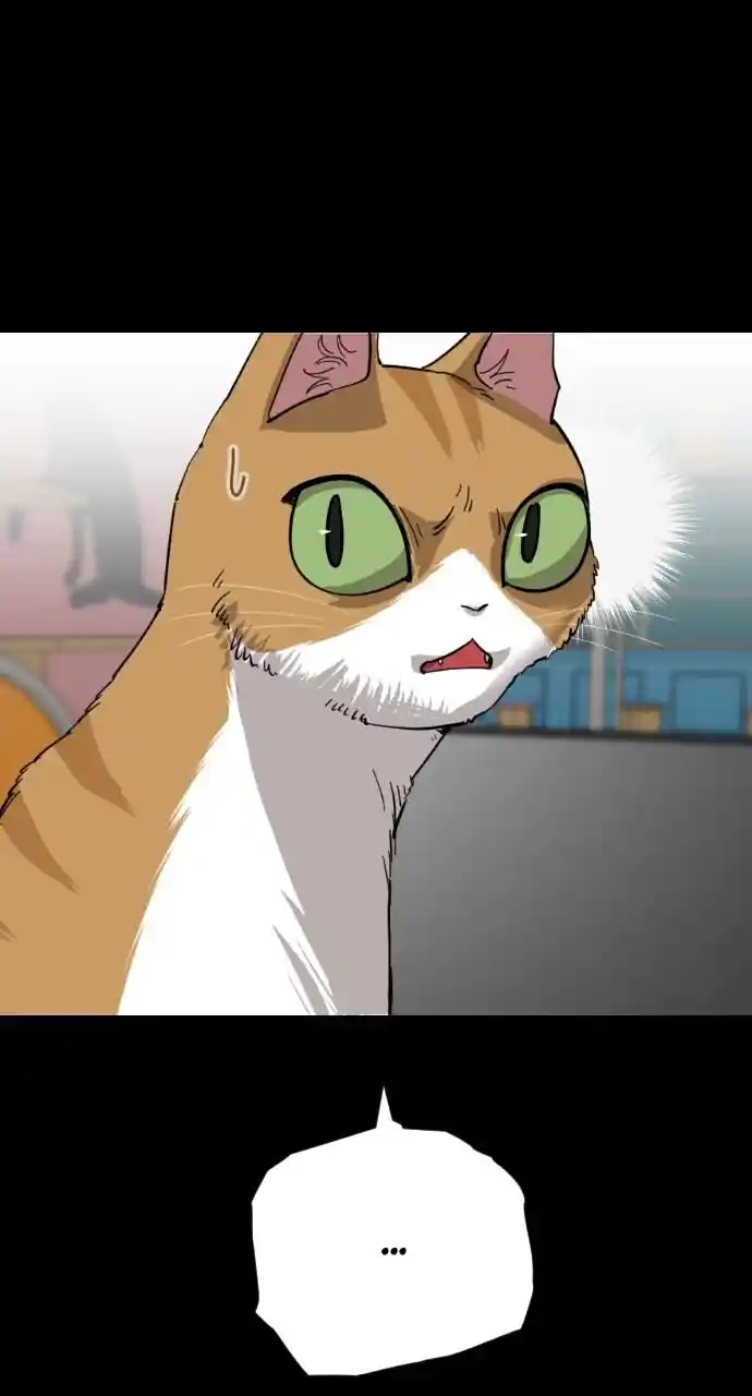 Zipsa Rangers Ch.053