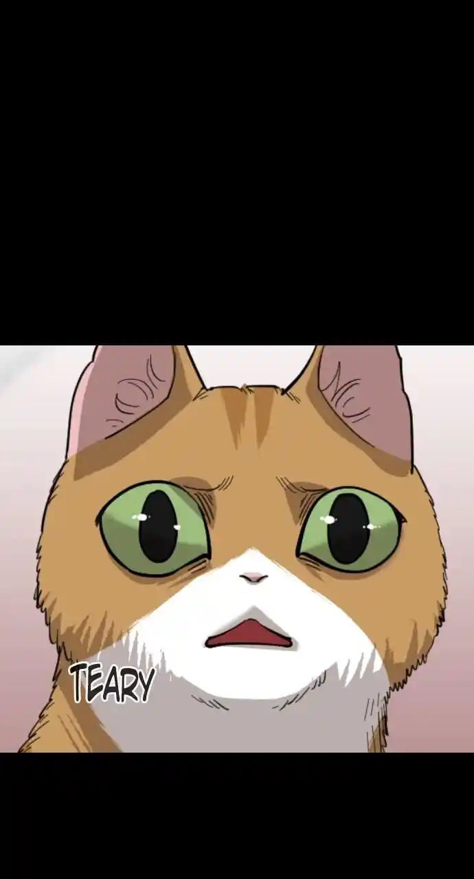 Zipsa Rangers Ch.053