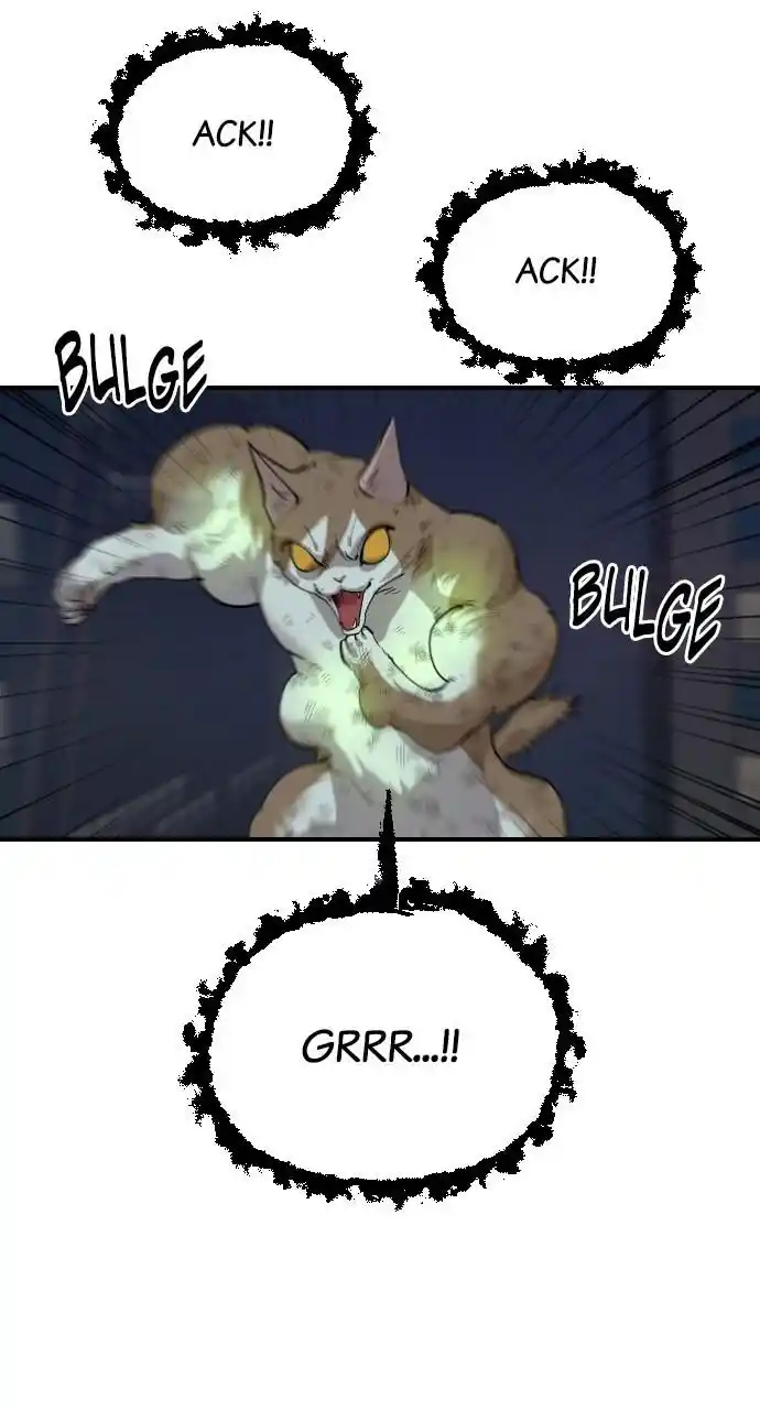 Zipsa Rangers Ch.053