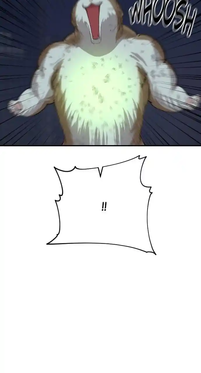 Zipsa Rangers Ch.053