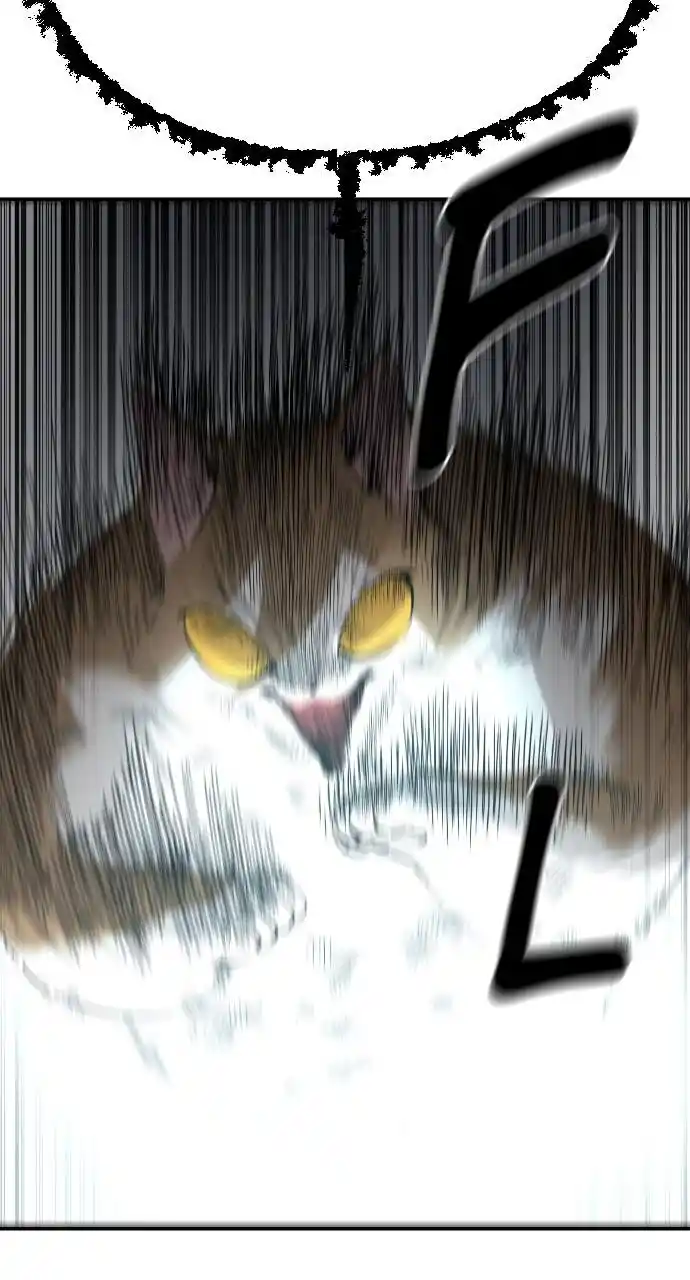 Zipsa Rangers Ch.053