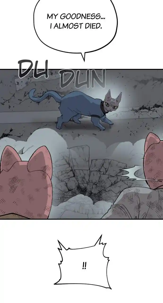 Zipsa Rangers Ch.054