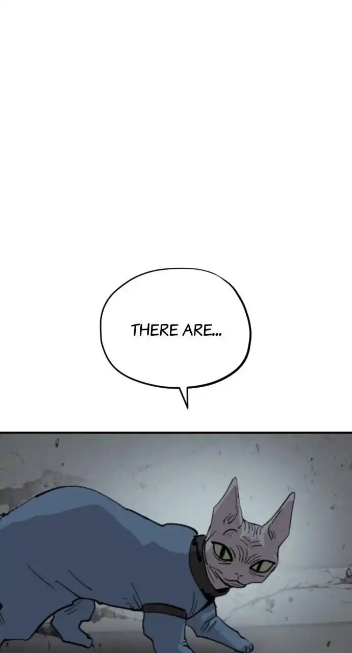 Zipsa Rangers Ch.054