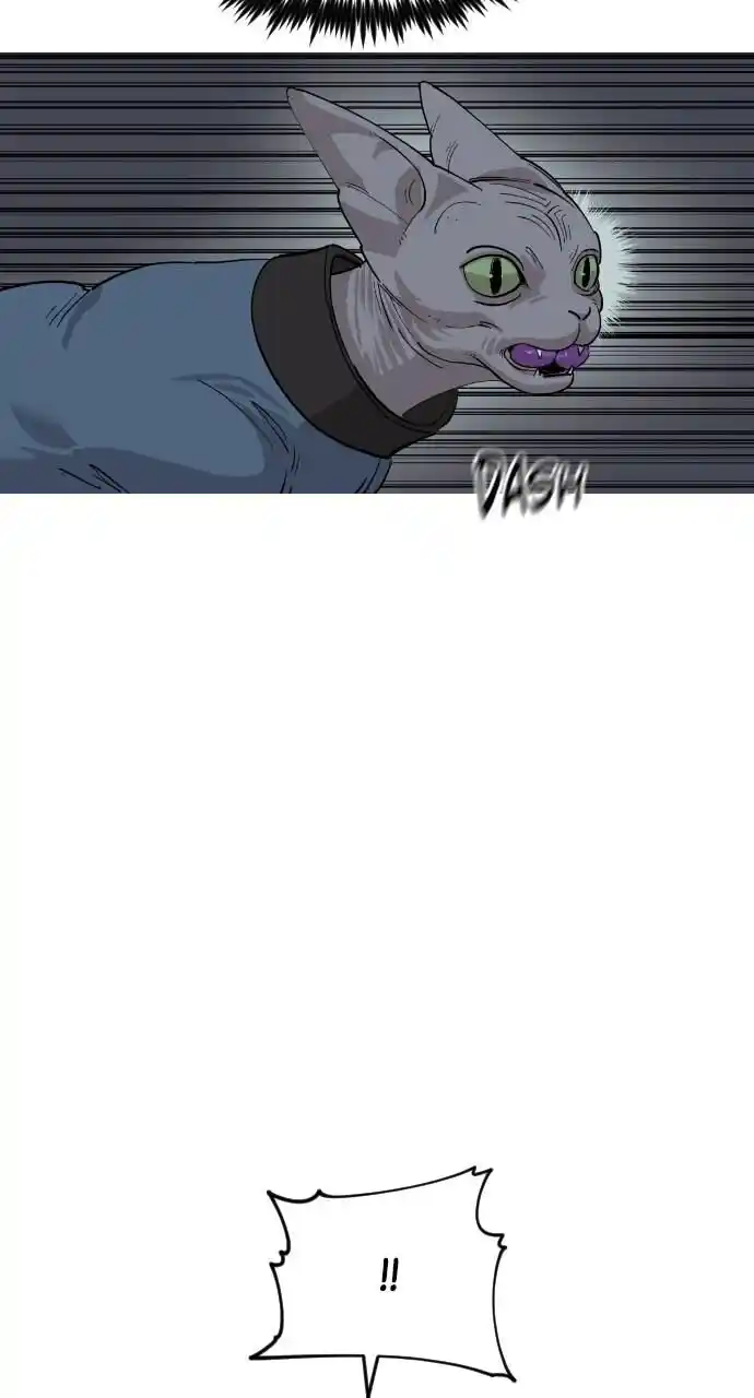 Zipsa Rangers Ch.054