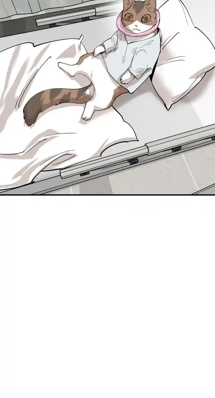 Zipsa Rangers Ch.055