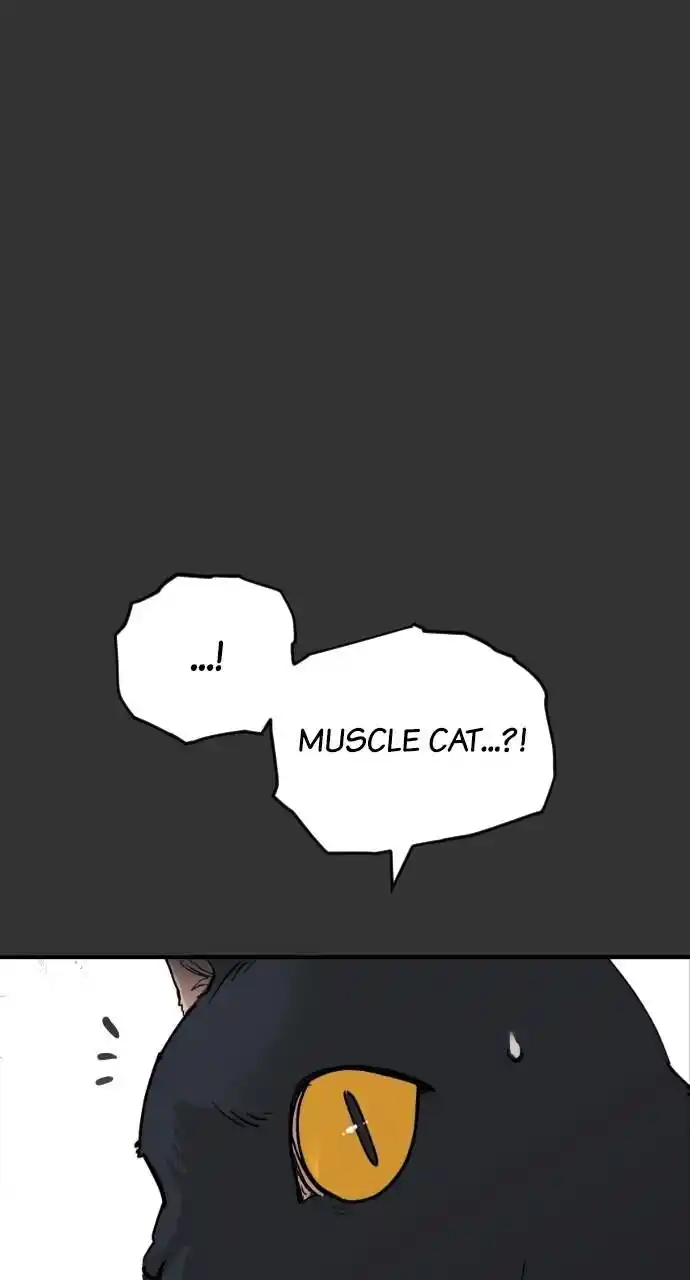 Zipsa Rangers Ch.058