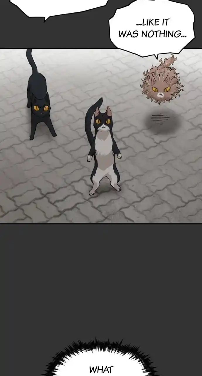 Zipsa Rangers Ch.059