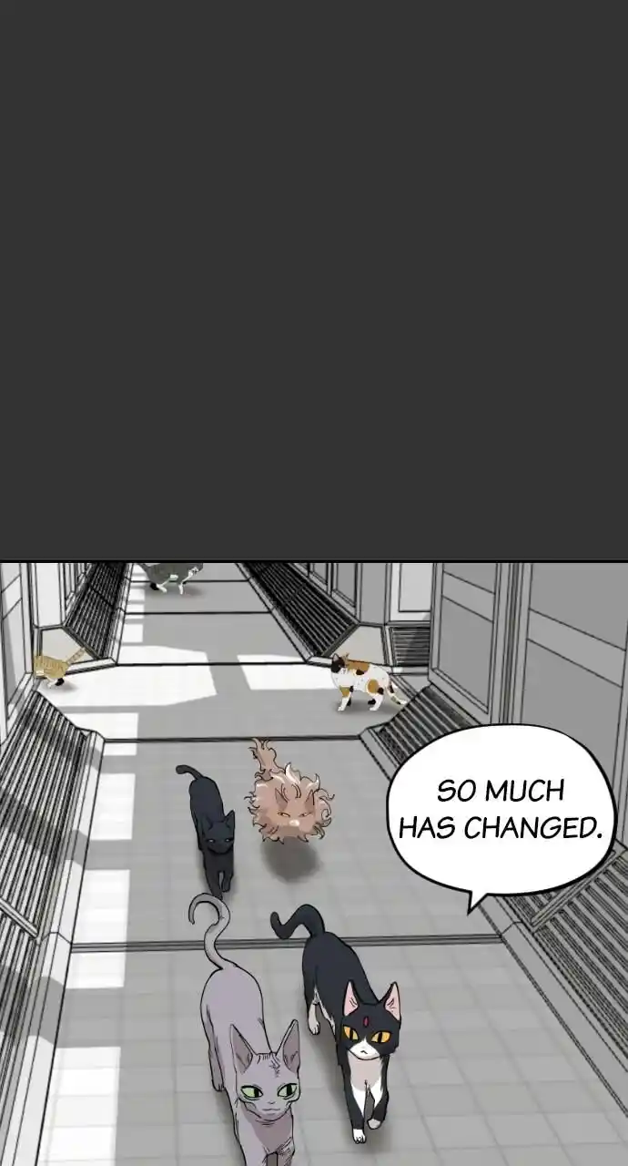 Zipsa Rangers Ch.059