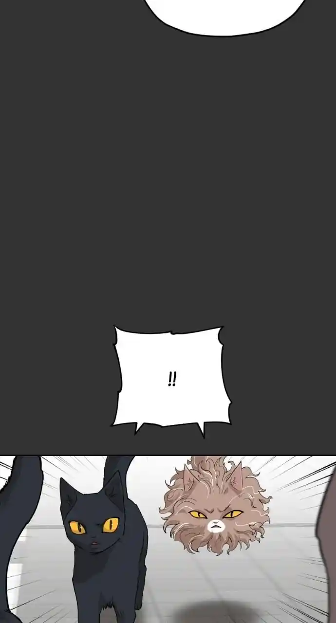 Zipsa Rangers Ch.059