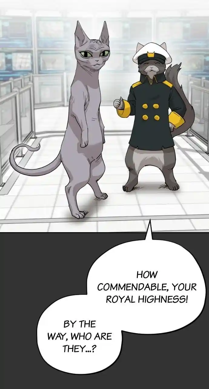 Zipsa Rangers Ch.059