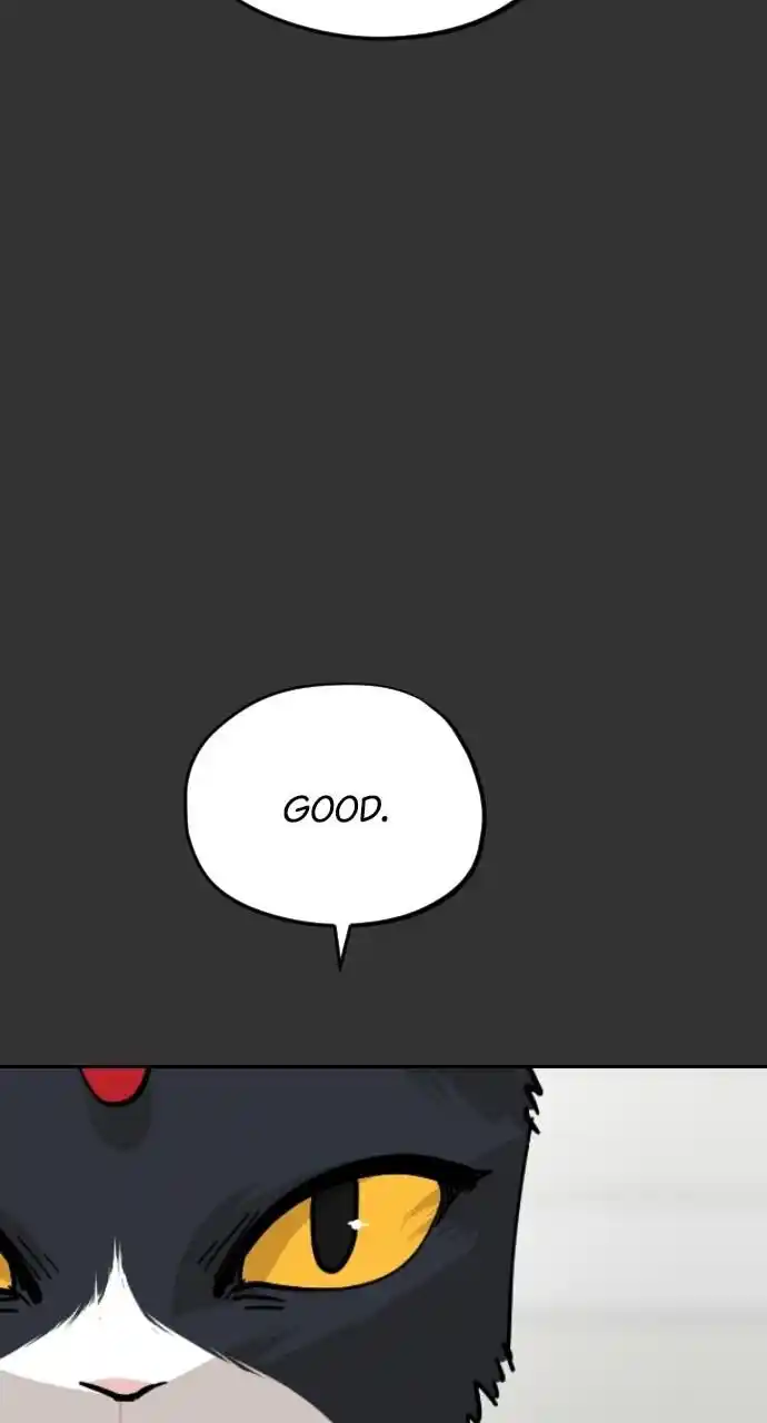 Zipsa Rangers Ch.059