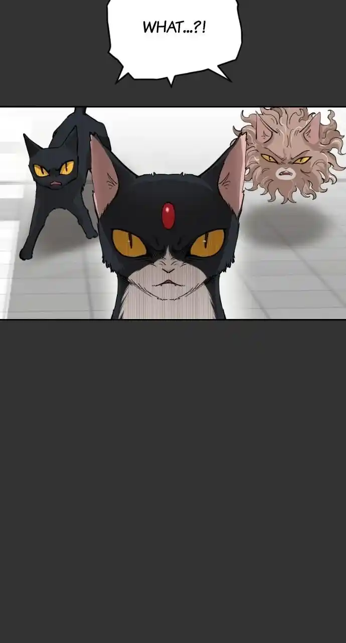 Zipsa Rangers Ch.059