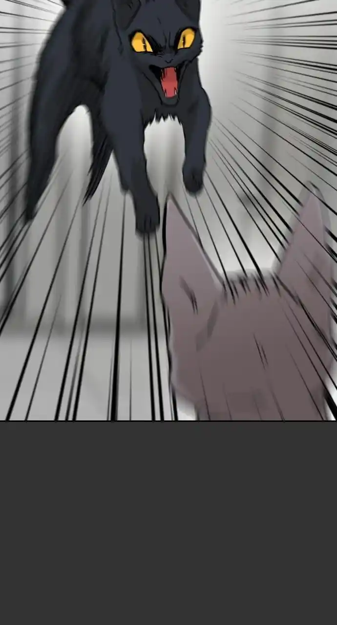 Zipsa Rangers Ch.059