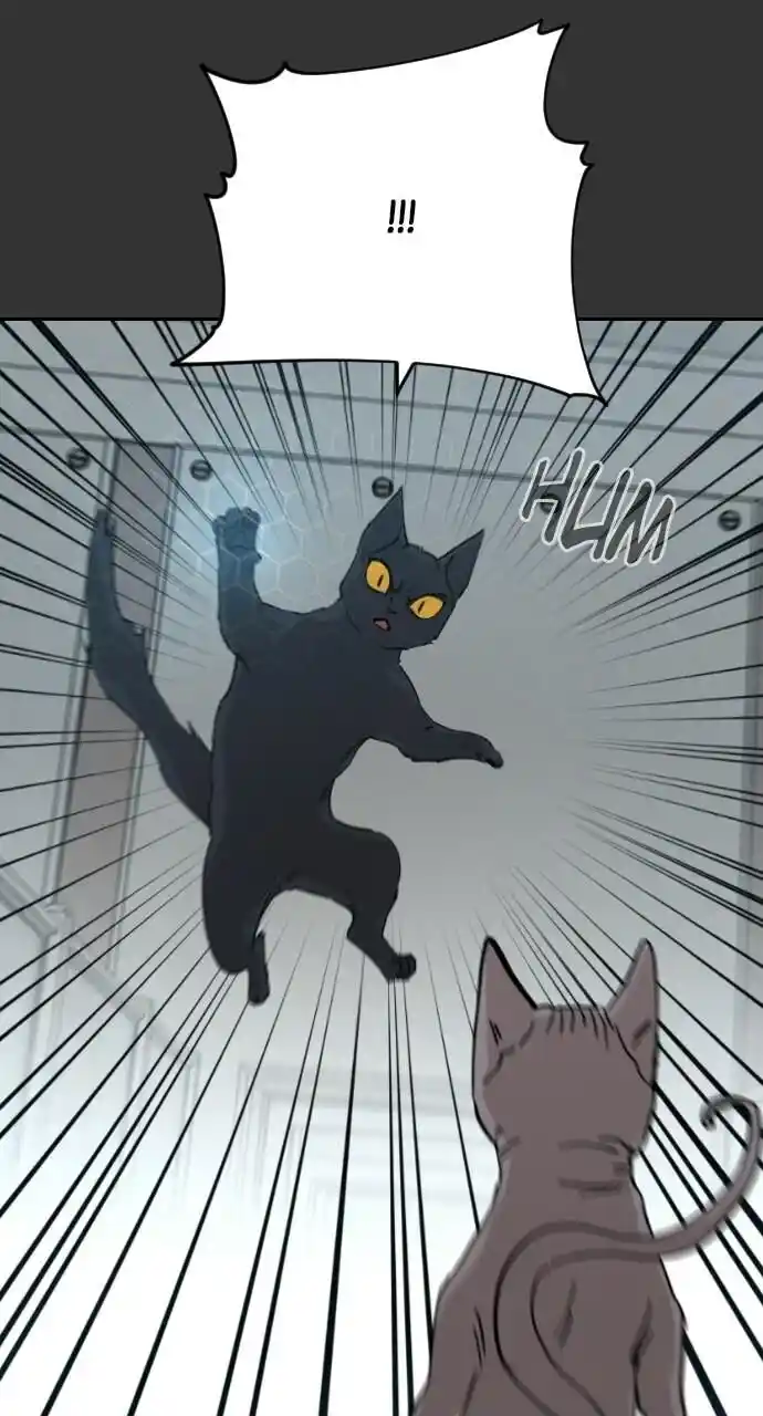 Zipsa Rangers Ch.059