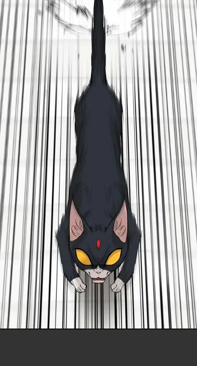 Zipsa Rangers Ch.059