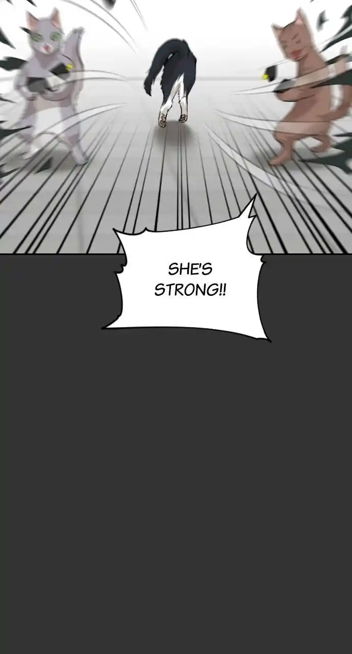 Zipsa Rangers Ch.059