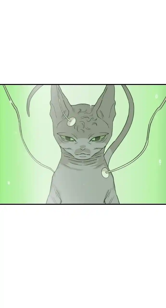 Zipsa Rangers Ch.061