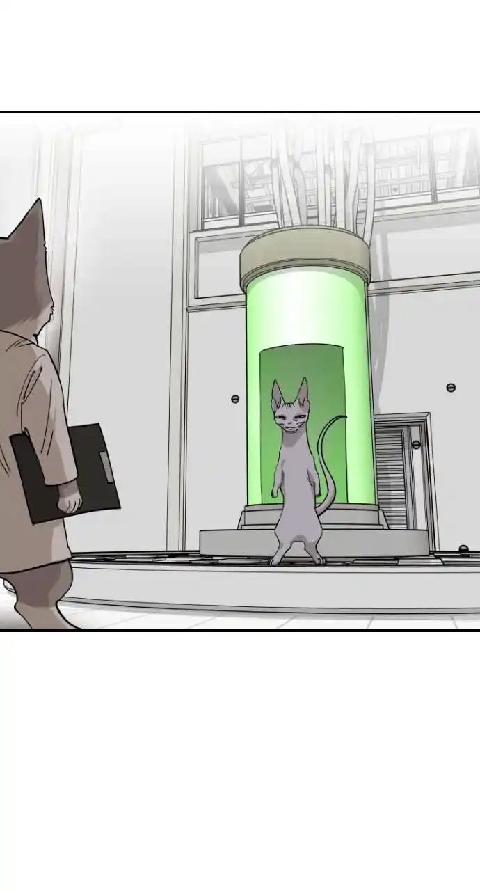 Zipsa Rangers Ch.061