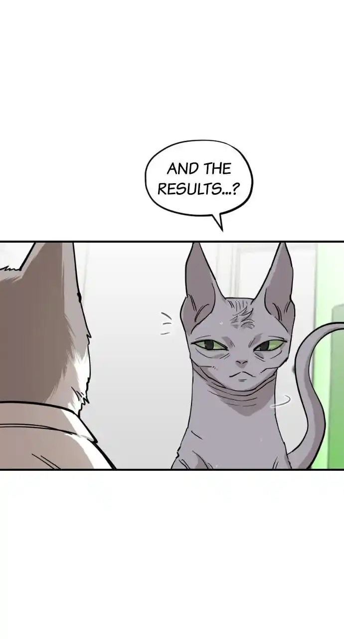 Zipsa Rangers Ch.061