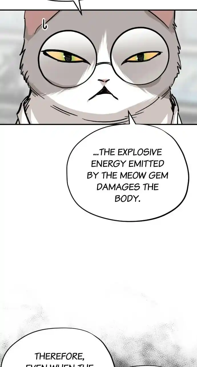 Zipsa Rangers Ch.061