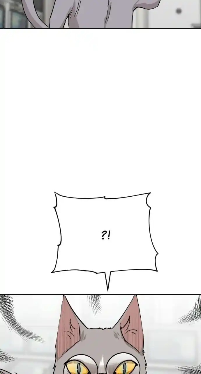 Zipsa Rangers Ch.061