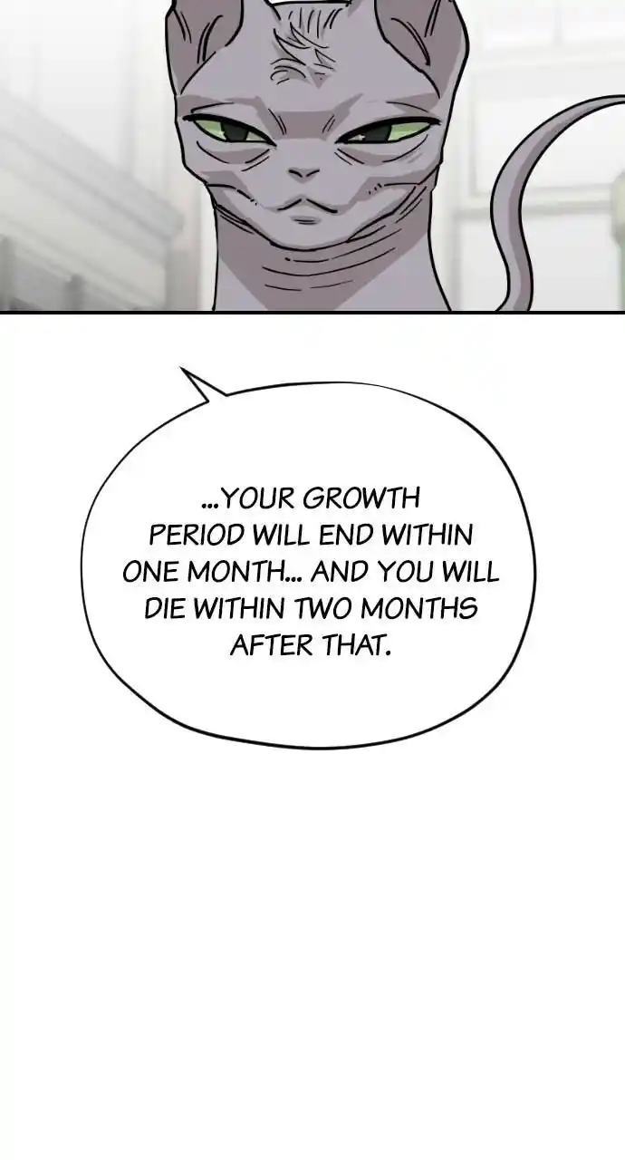 Zipsa Rangers Ch.061