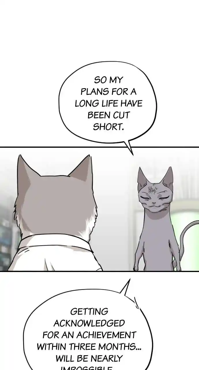 Zipsa Rangers Ch.061