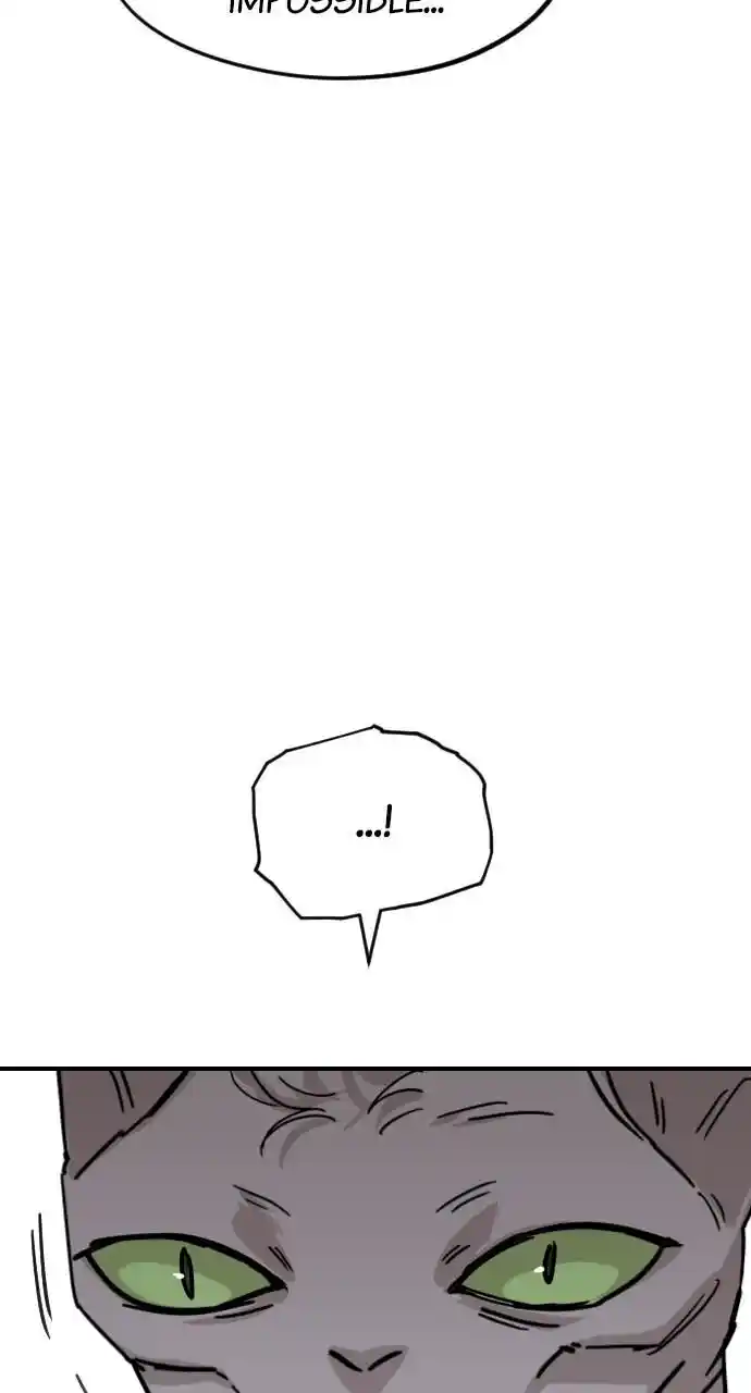 Zipsa Rangers Ch.061