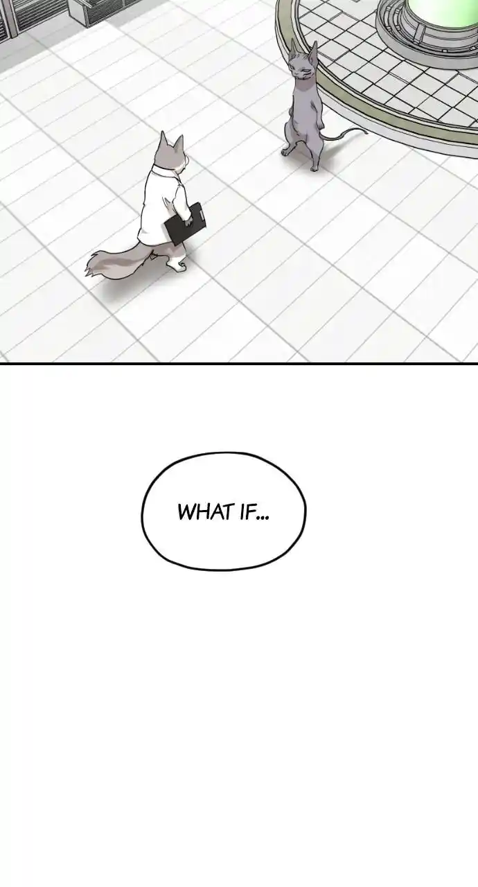 Zipsa Rangers Ch.061