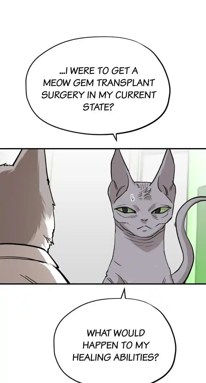 Zipsa Rangers Ch.061