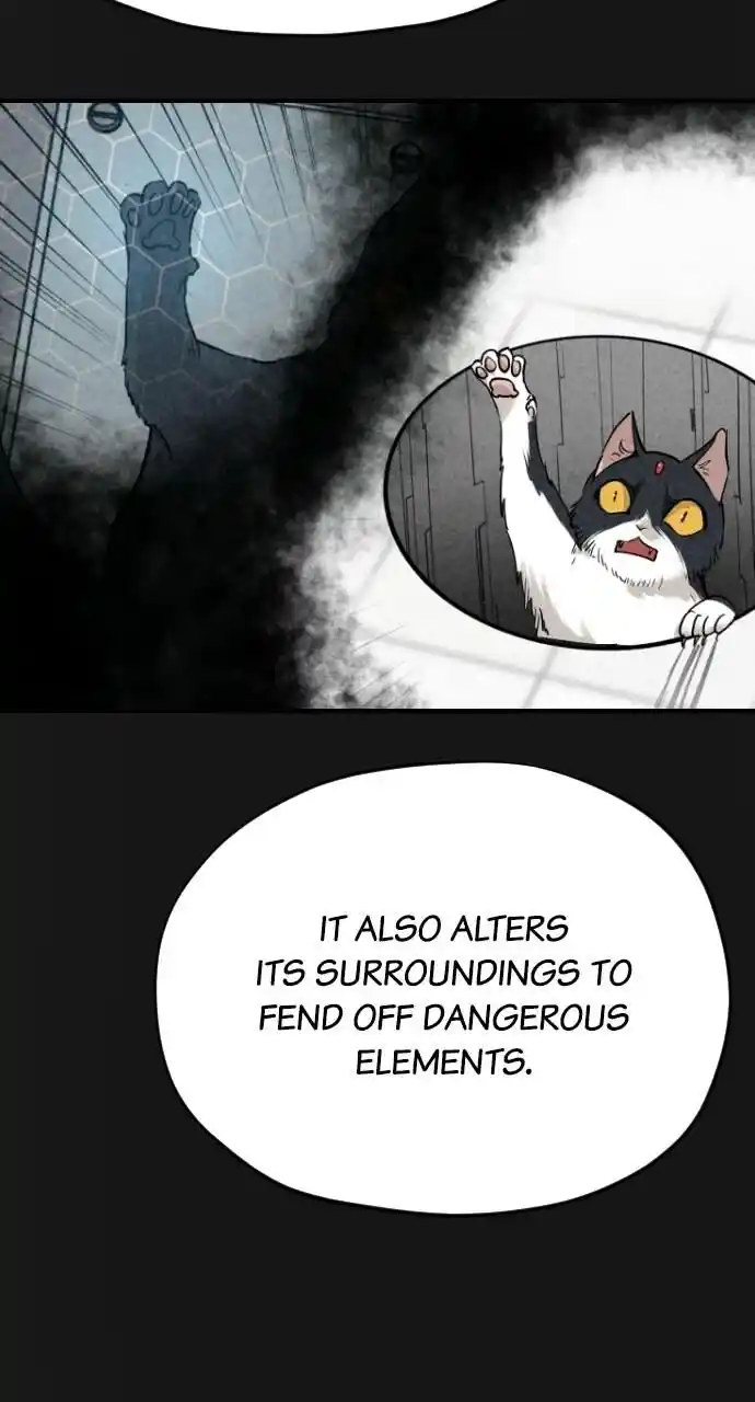 Zipsa Rangers Ch.062