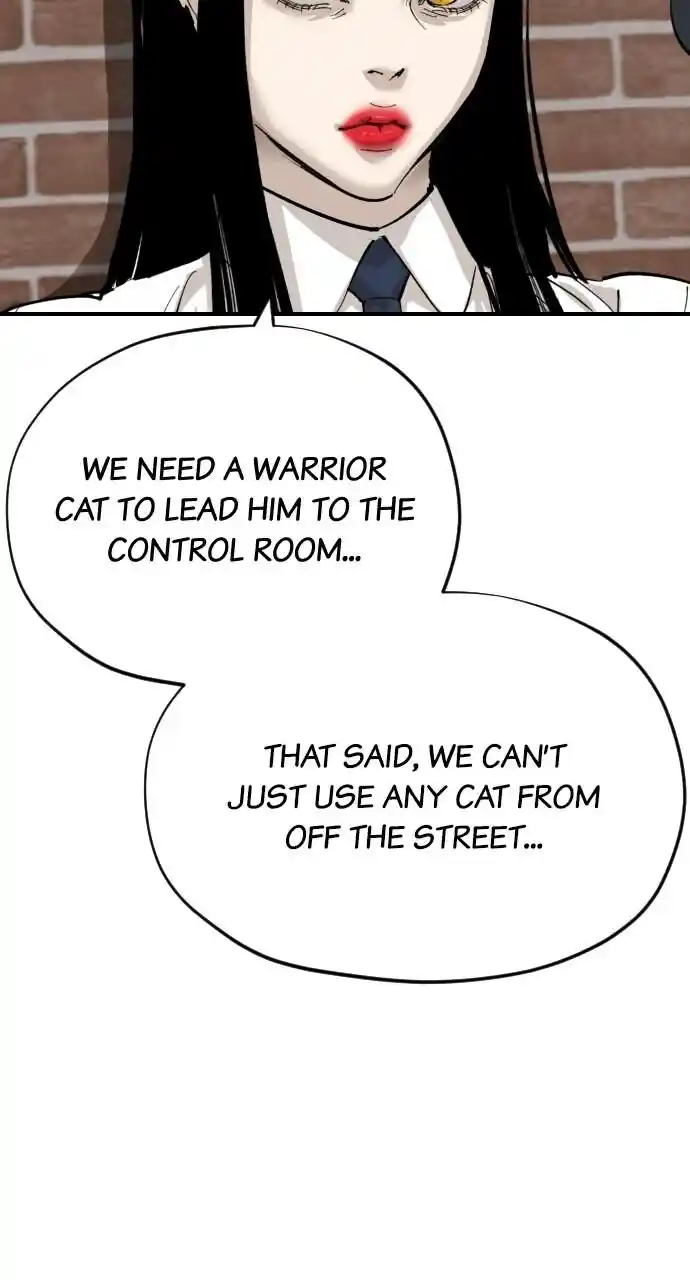 Zipsa Rangers Ch.062