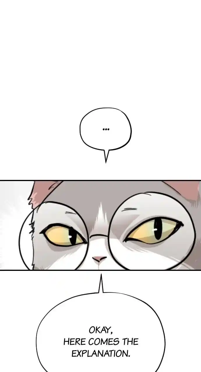 Zipsa Rangers Ch.062